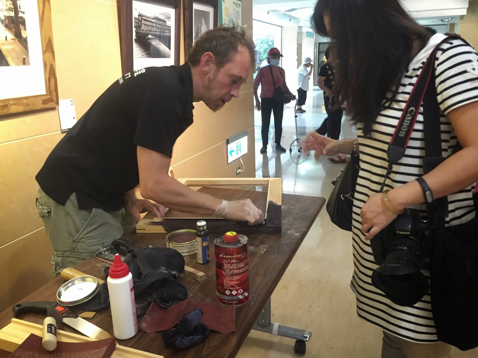 Butterflies Of Singapore Life History Of The Cabbage White