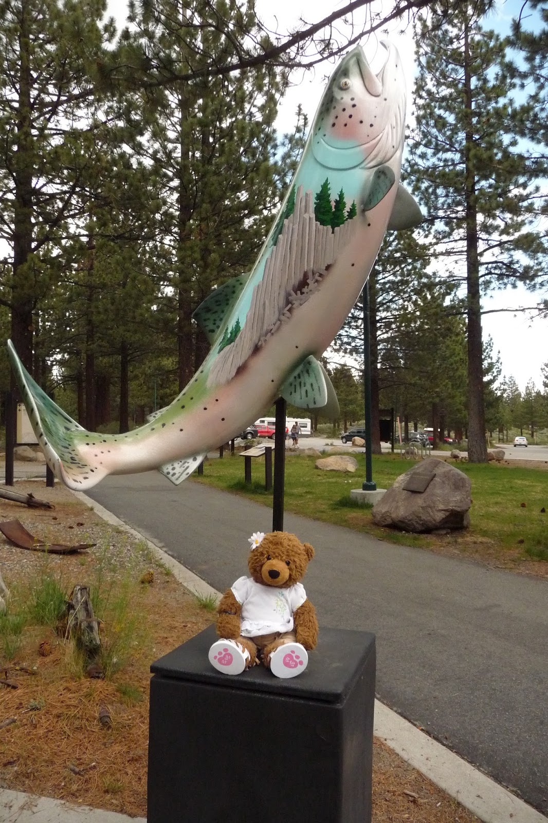 Califia California Center Mammoth Lakes