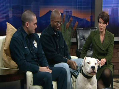 Kyle Dyer: veteran Denver TV news anchor attacked by dog live on air