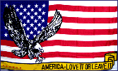 usa flag,love it or leave it