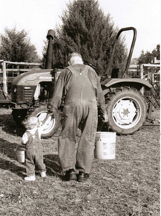 Walking With Grandmpa [my father and grand-daughter]