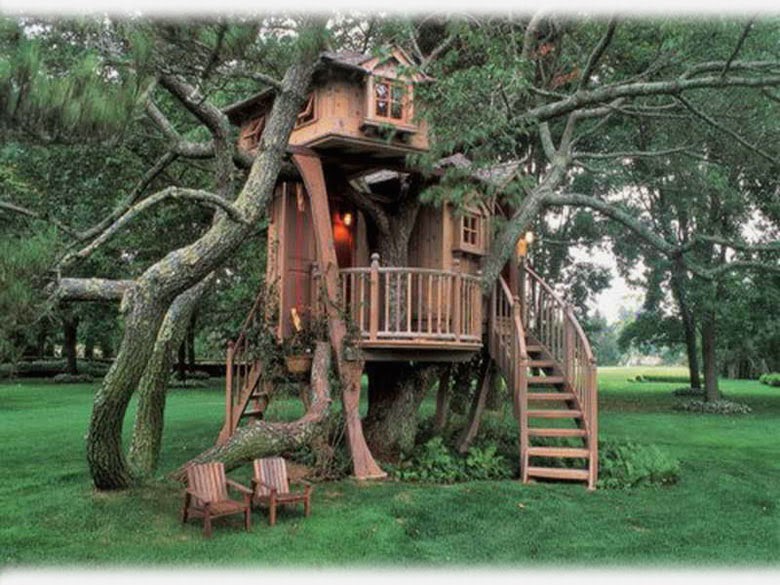 beautiful treehouse