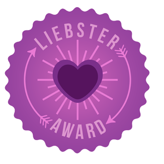 blog beauté liebster award tag