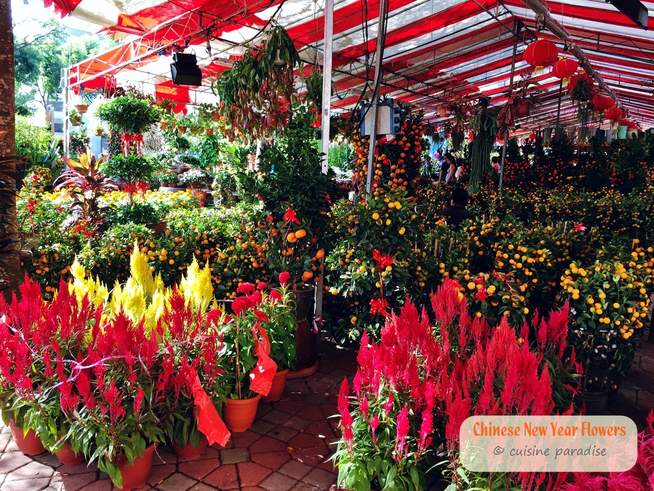 Cuisine Paradise | Singapore Food Blog | Recipes, Reviews And Travel