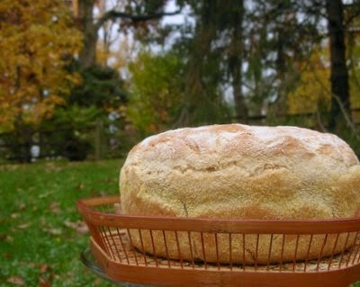 No-Knead English Muffin Bread. Hot bread for supper? A yeast bread recipe that reaches the table in just two hours? No problem! No kneading, no worries, no trouble at all.