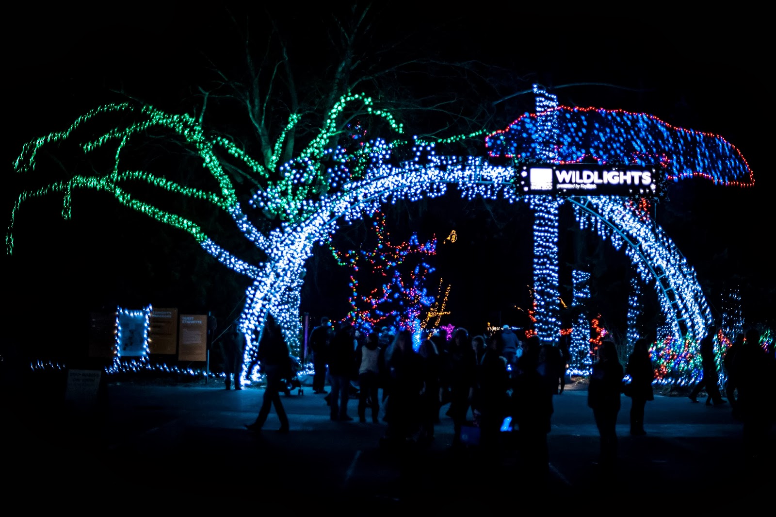 Alexander Chamas Photography Wild Lights at the Woodland Park Zoo