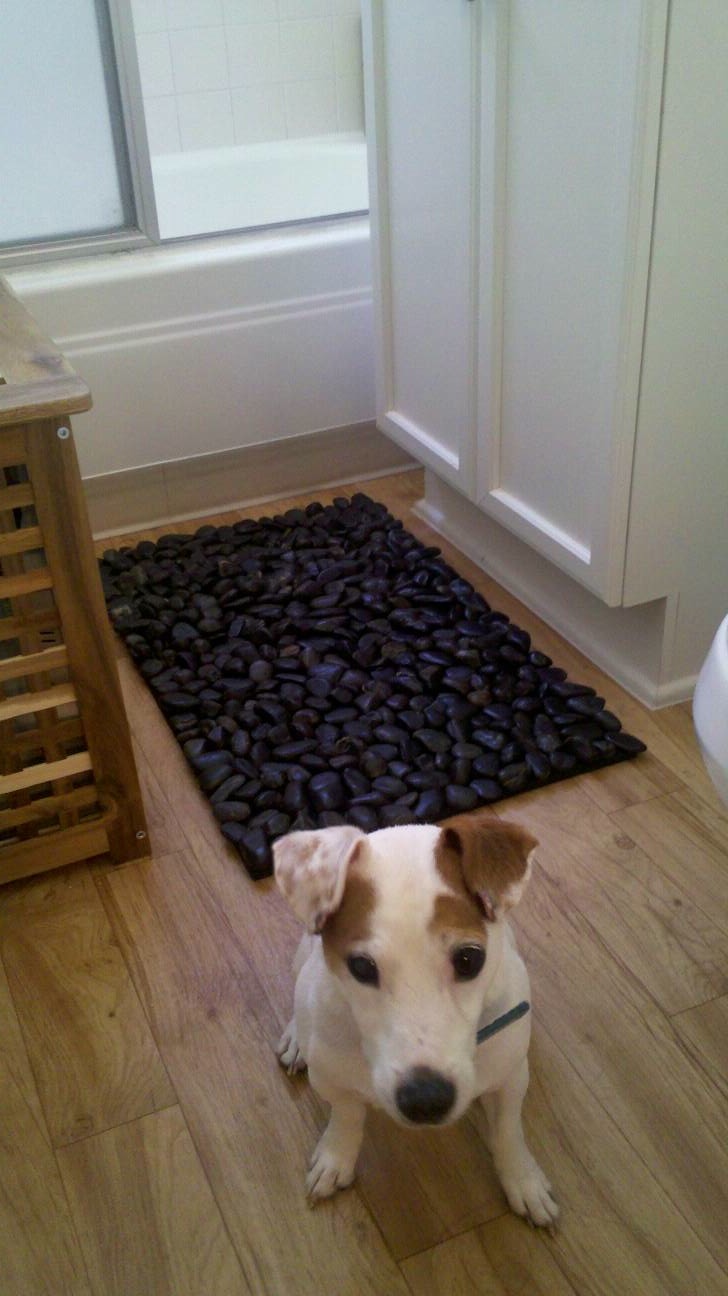 Daydreamer Creator Diy Extraordinaire Diy Black River Stone