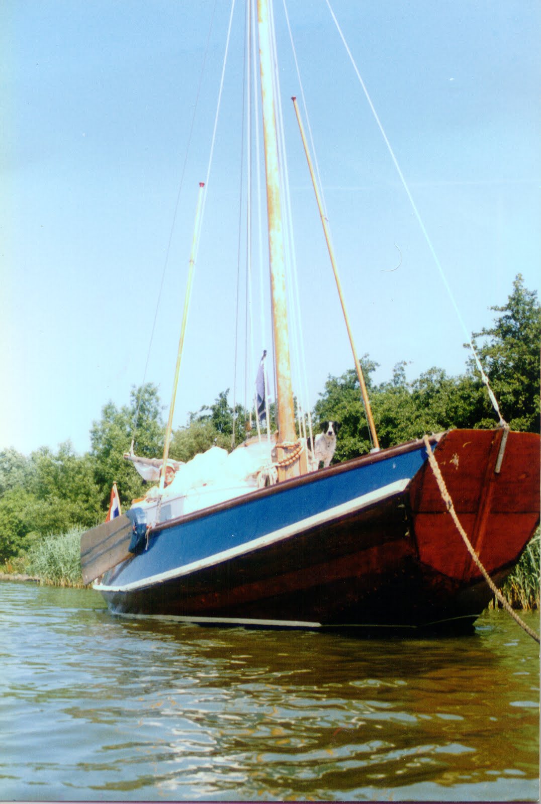 Bruinvisch voor anker