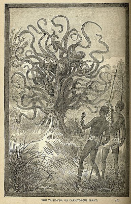 Misteri Pohon-Pohon Yang Bisa Memakan Manusia