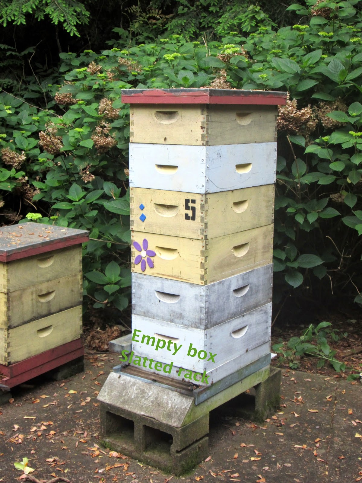 Linda's Bees The Slatted Rack and the Empty Bottom Box in Early Spring
