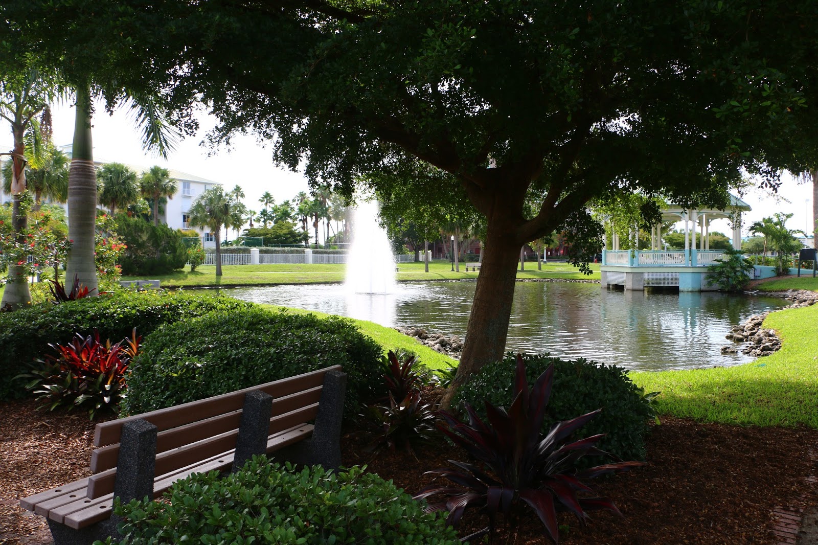 You Belong in Punta Gorda A Week to Celebrate Punta Gorda's Gardens