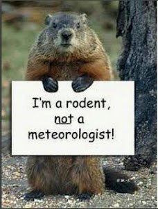 Funny Facebook Status: Happy Groundhog Day- Groundhog funny facebook