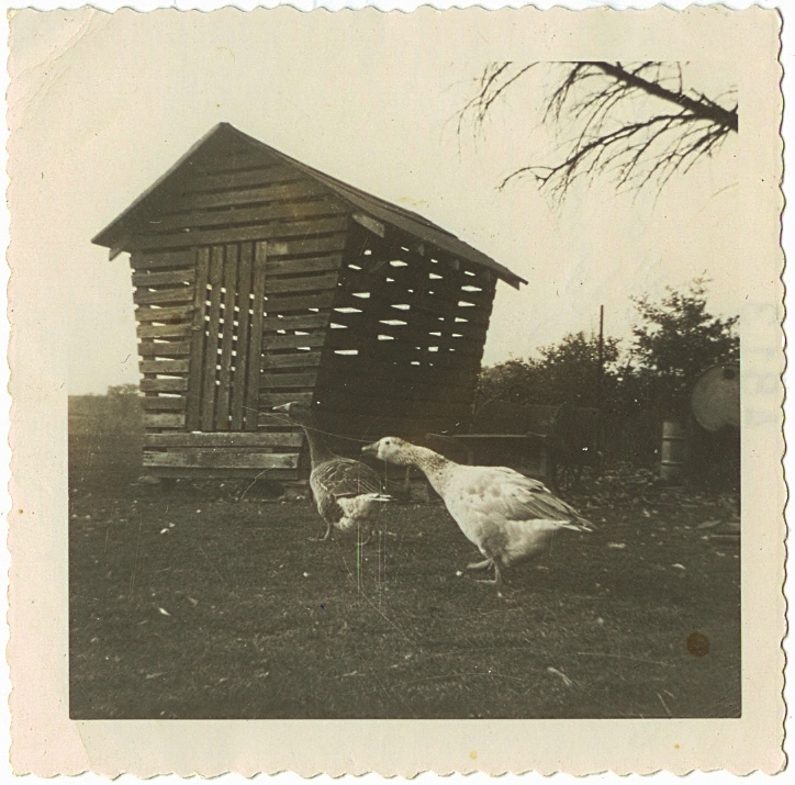 Somers Wisconsin Pioneer History Corn Crib