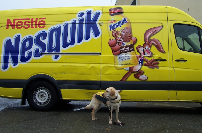 cabana wearing bright yellow raincoat, standing in front of bright yellow nesquik truck, the truck has a bashed up side, about 4 feet long, with black remainder marks