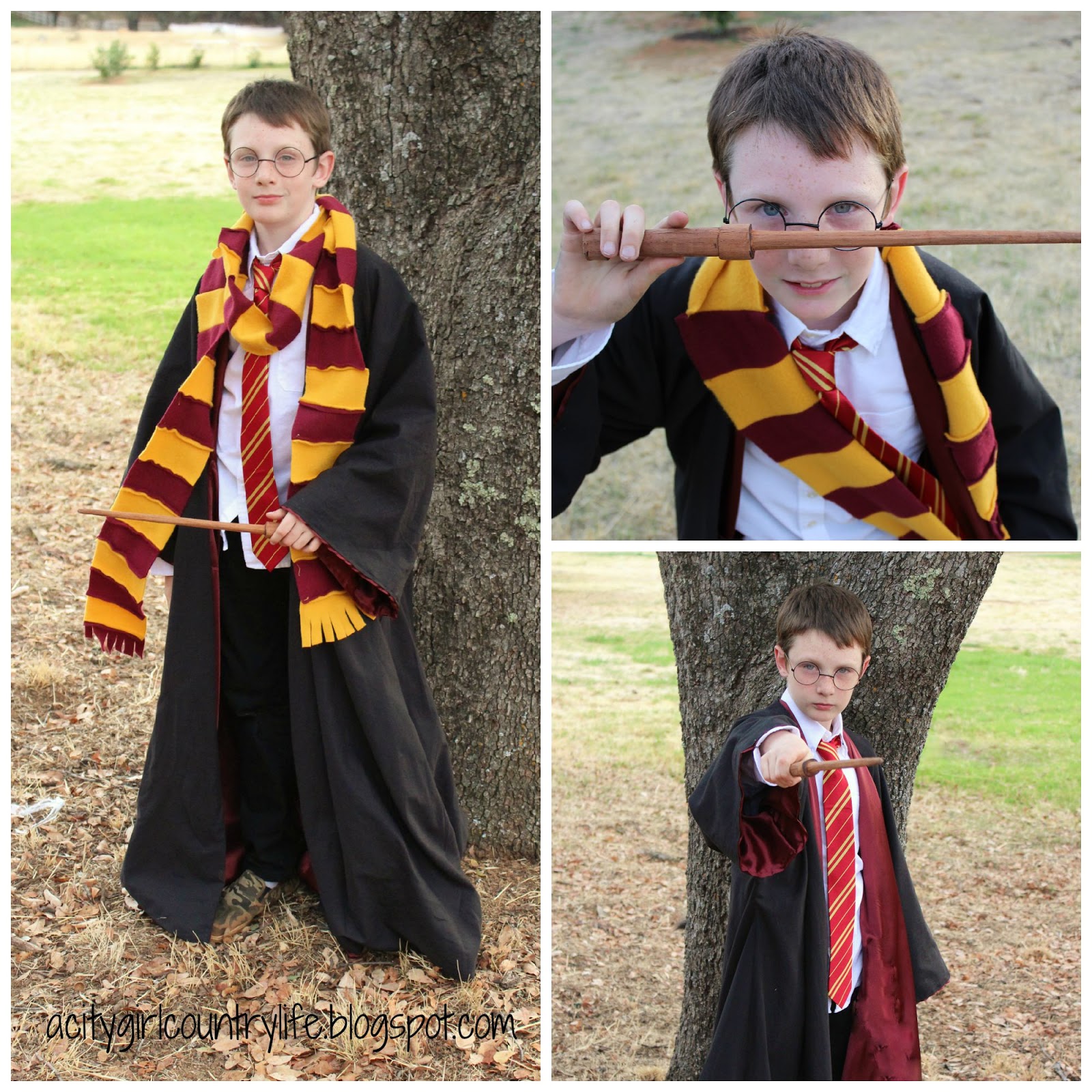 City Girl Country Life Harry Potter Costume