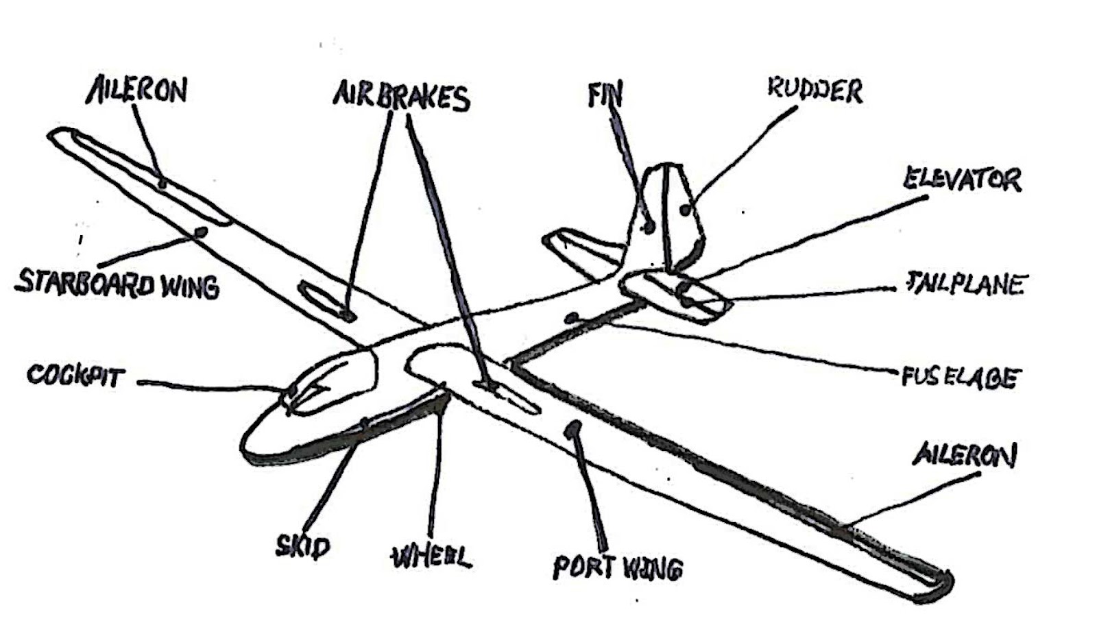 buckylab HOW IT WORKS GLIDERS