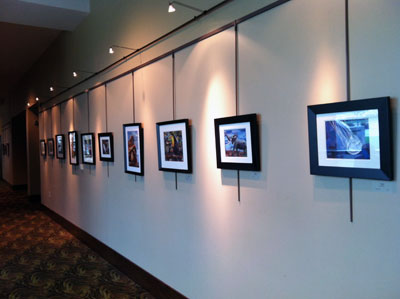 From Fur to Feathers Megan Coyle Exhibit