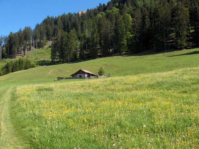 Murmonolith Monolithisch Bauen Mit Beton Diplomarbeit