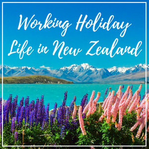 My whirlwind one-year journey as a working holiday visa holder in New Zealand
