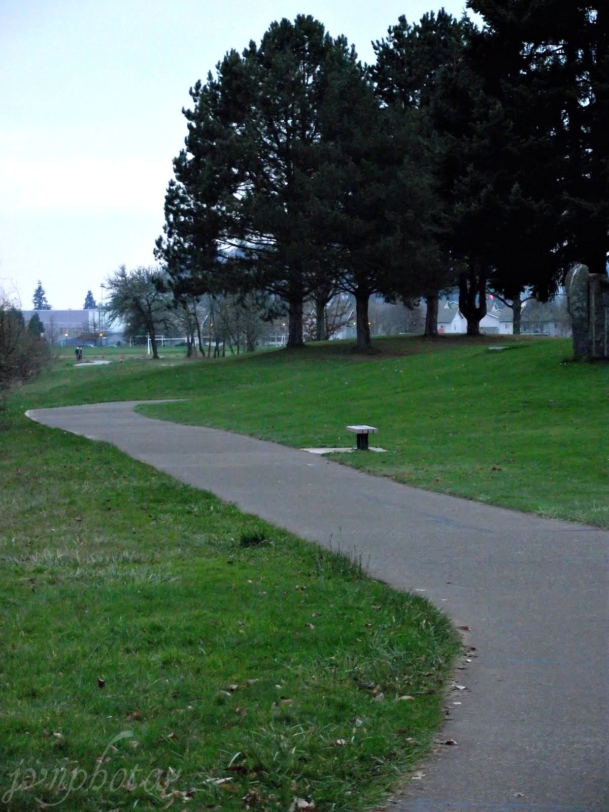 Photos by Jan Amazon Park Eugene , Oregon