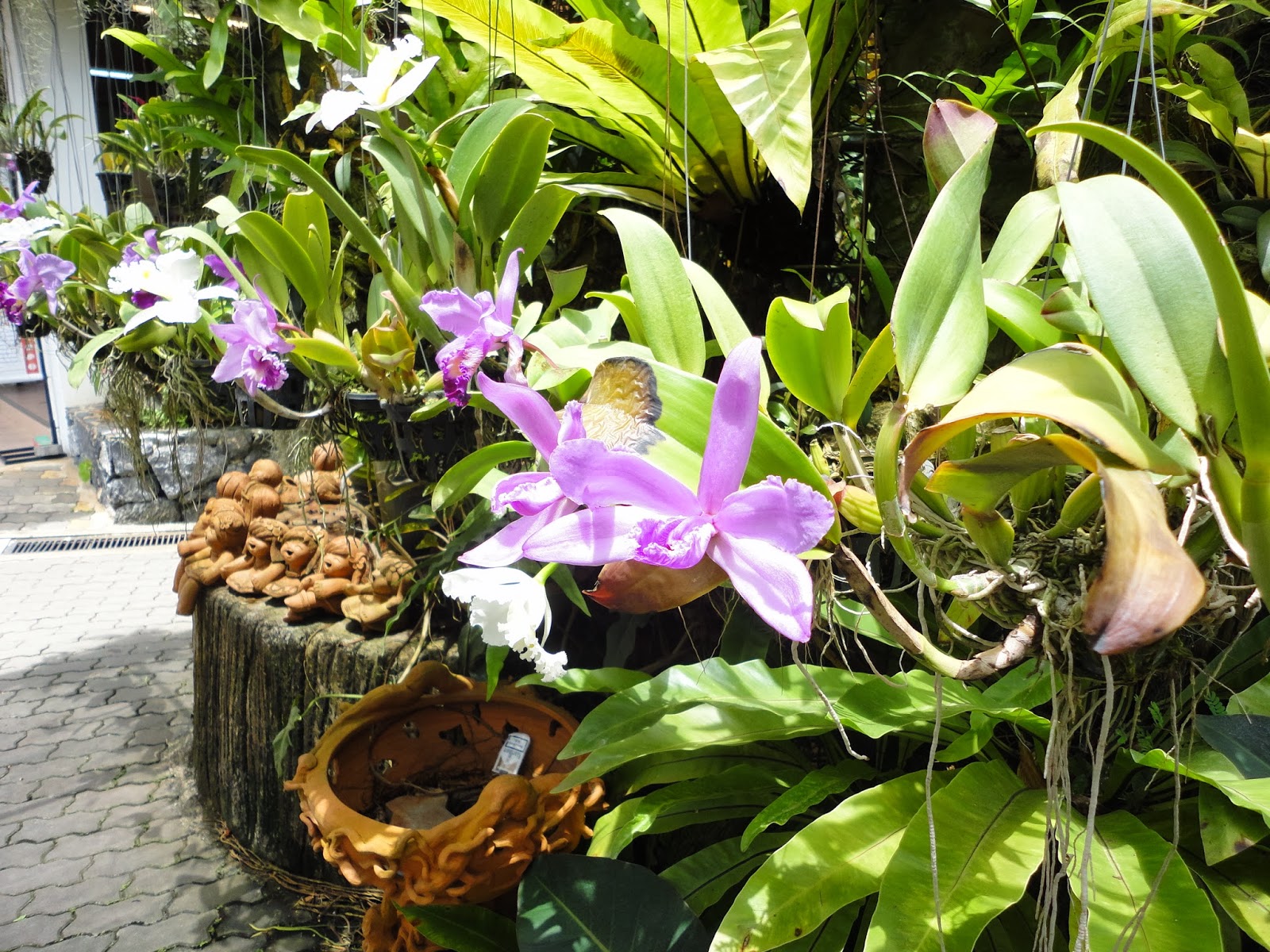 aventuraaloriente: enero 2014