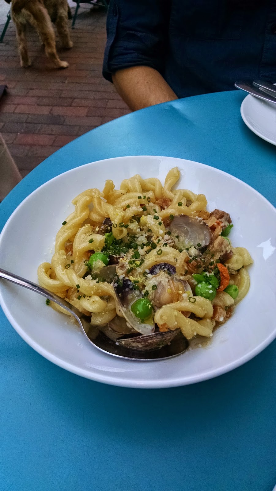 Coppa Boston Italian Dinner in the South End Chow Down USA