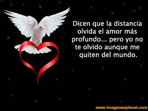 Rosas Y Corazones De Buenas Noches En Movimiento