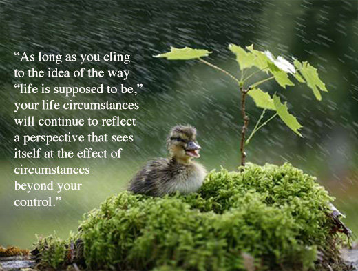 Quotes Letting Go Of Control. QuotesGram