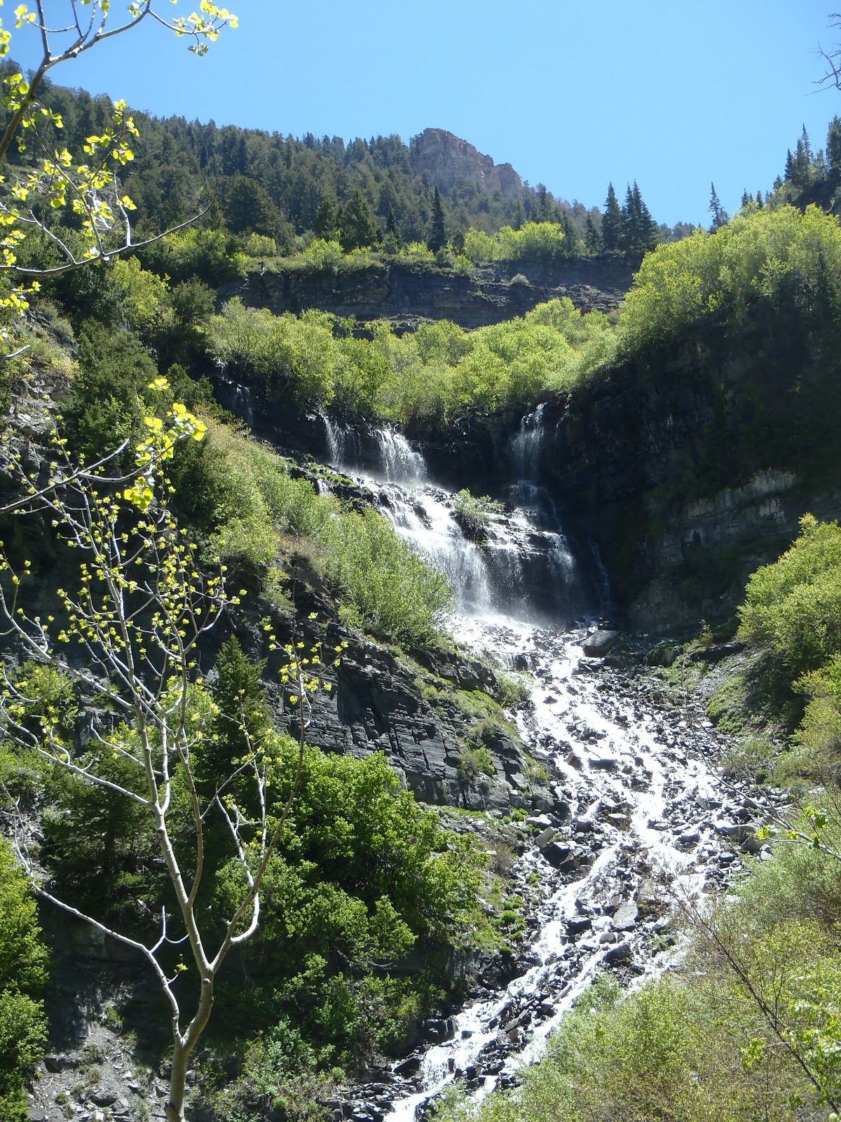 Blog Me Fit Scout Falls Hike