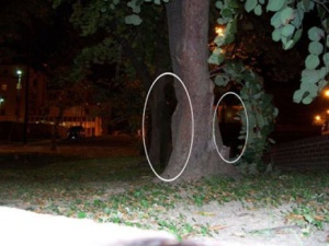 the real evidence of the paranormal fear the shadow people all dark entities in human form