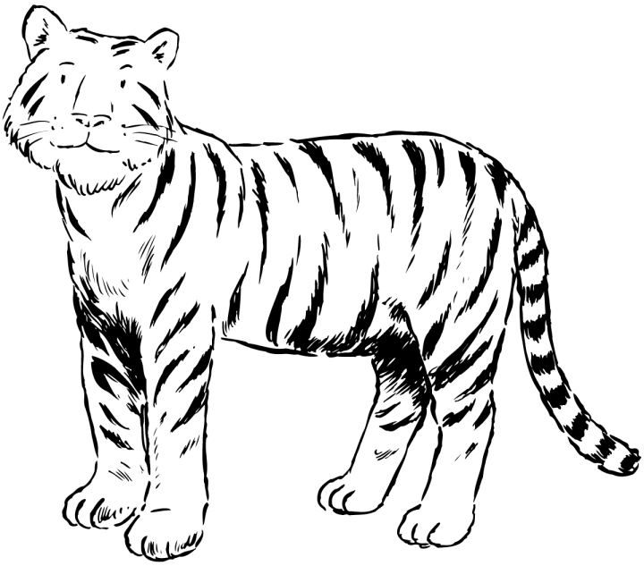 Art Books: big tiger coloring pages
