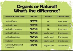 What is the difference between GMO and organic?