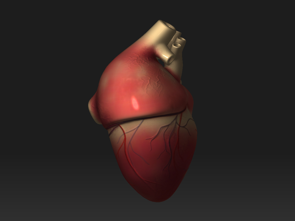 AMOL' s finetouch: Human Heart, for e - learning project