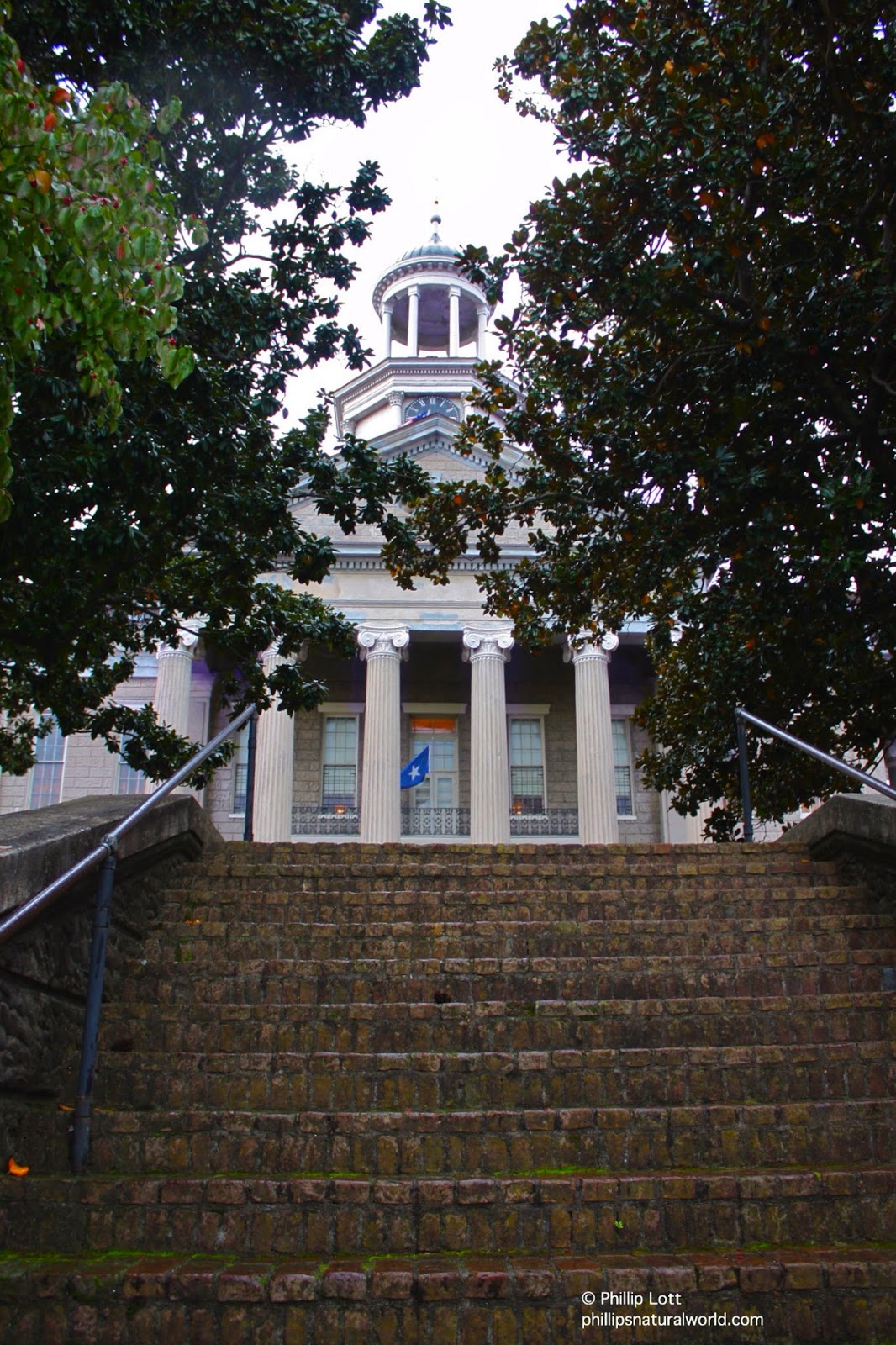 Vicksburg Old Courthouse Phillip's Natural World