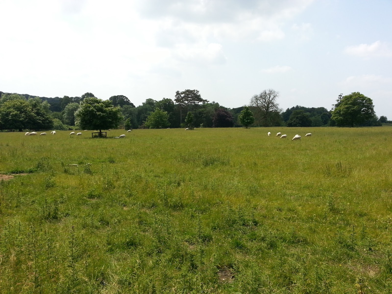 Kilnwick Percy, East Yorkshire