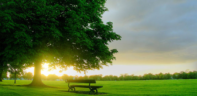 Hero Group Residential Plots in Alaknanda Haridwar