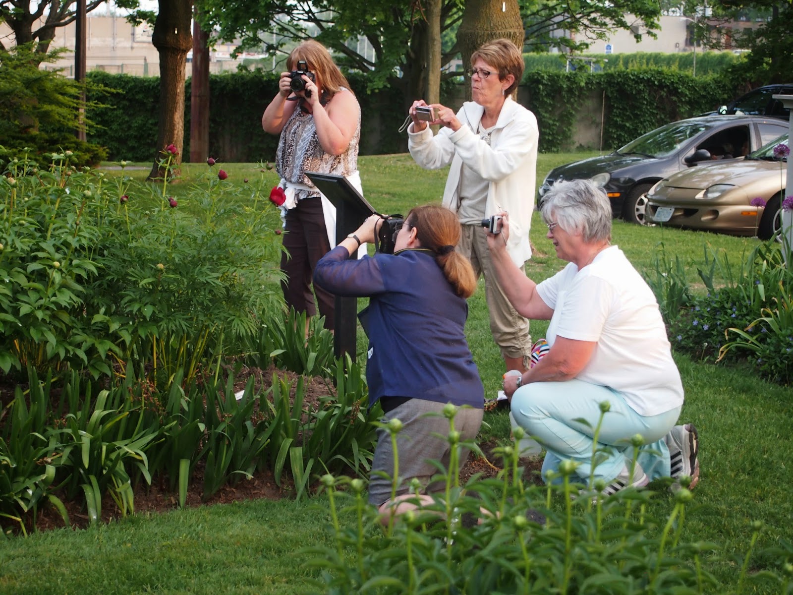 John Maria S Garden Pages