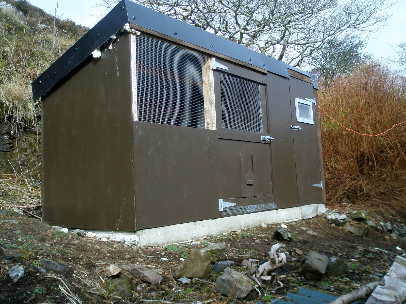 What Is Brooder House at Regina Daniels blog