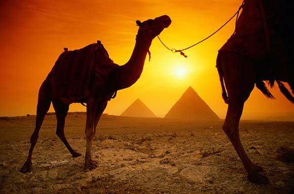 السياحة فى مصر  