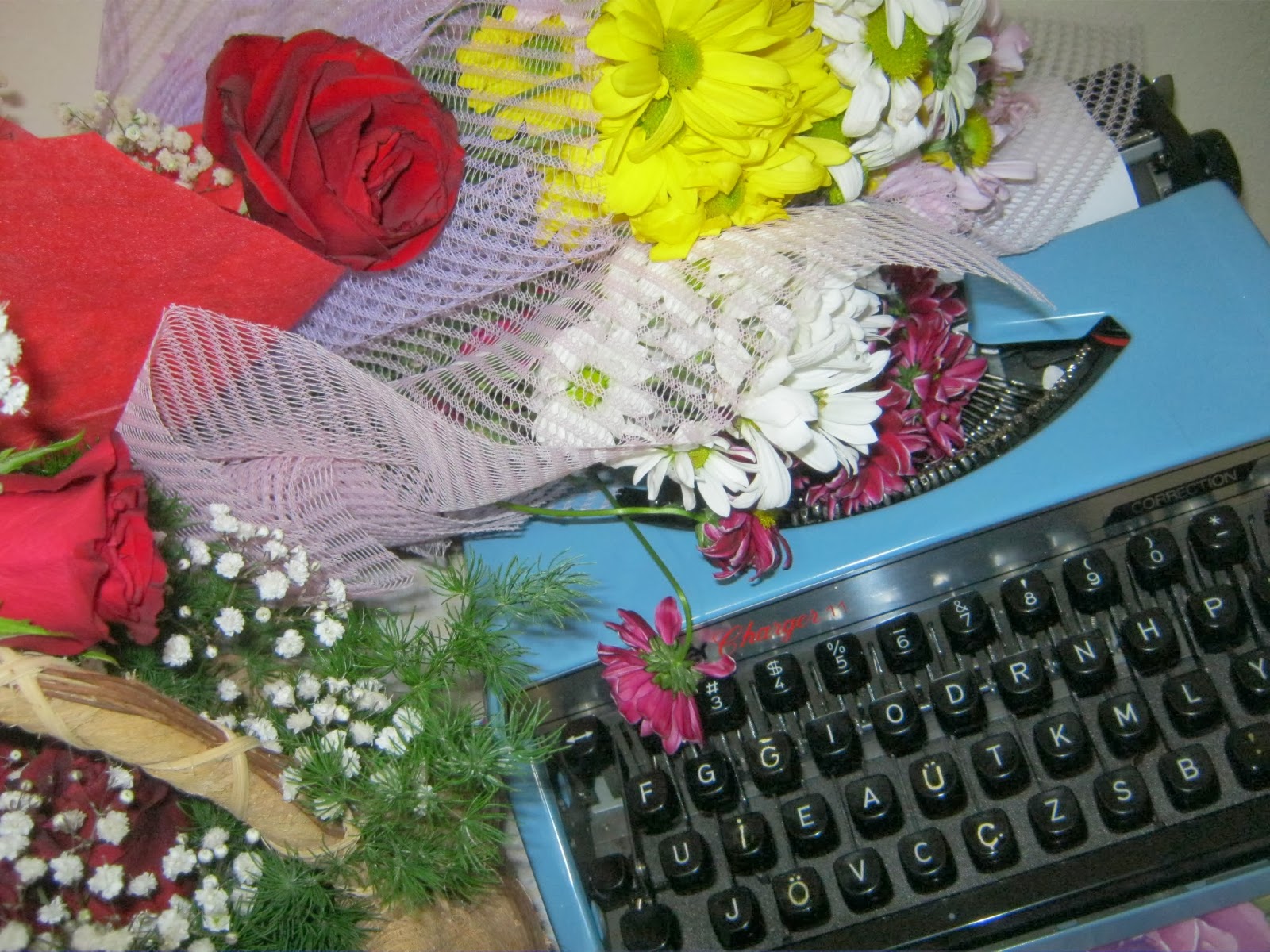 Yeniler Kendini Hayat: Kasım 2013