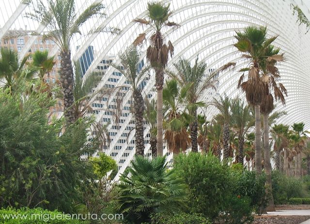 L'Umbracle-Jardín-Botánico-Valencia