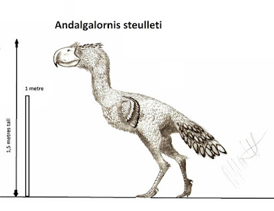 Andalgalornis