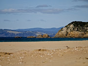 The view of Goat bluff from down low on Calverts Beach. (dsc )