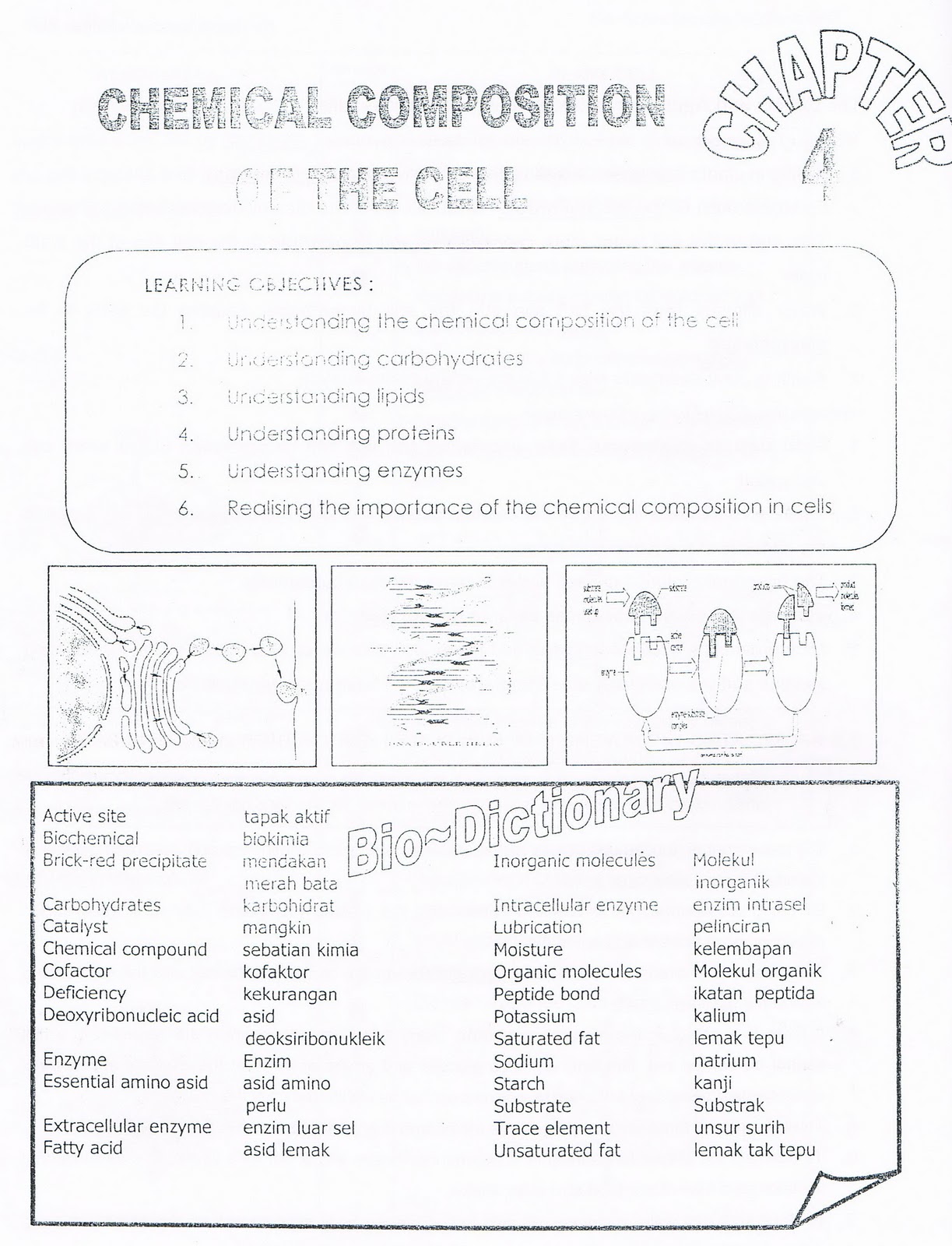 BIOLOGY Chapter 4 Chemical Composition of the cell