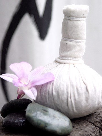 Branwen's Herbal Musings: Herbal Poultices