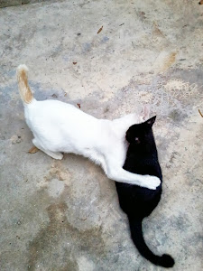 true love (putih and black)