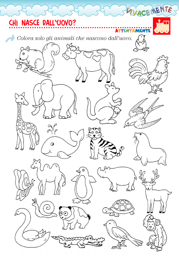 VIVACEMENTE il giornalino del cuore e della mente: Animali che nascono