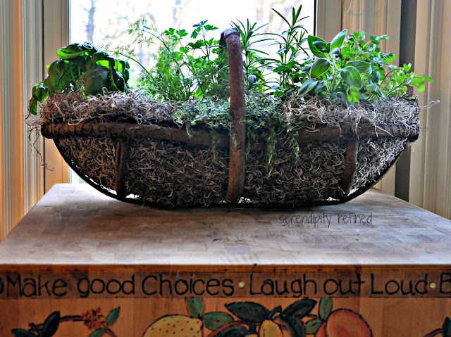 Kitchen herb veggie repurposed container grow portable garden grape vine chicken wire moss basket