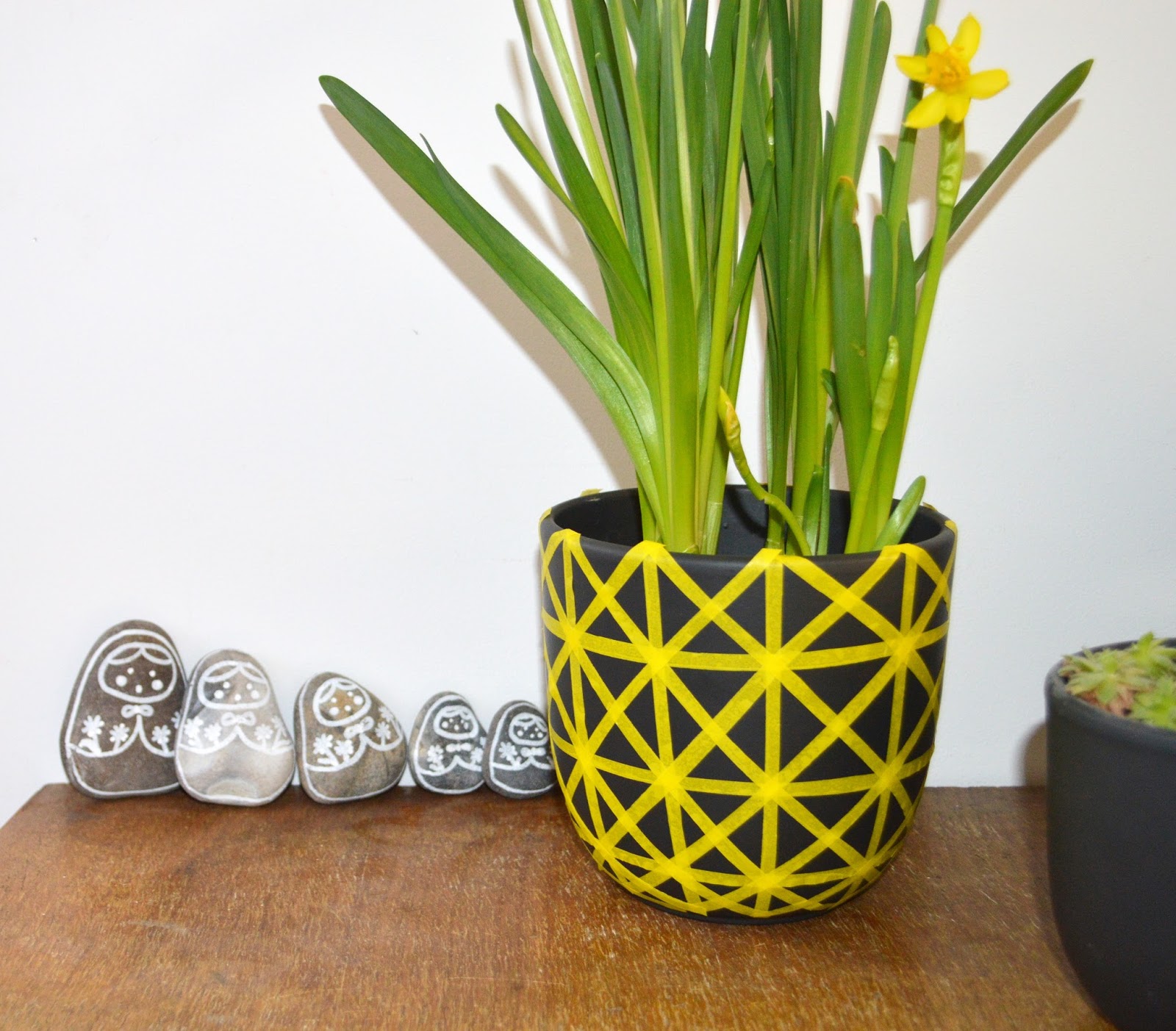 Comment J Ai Sauve Mes Phalaenopsis Parfois Je Suis Orchi Douee