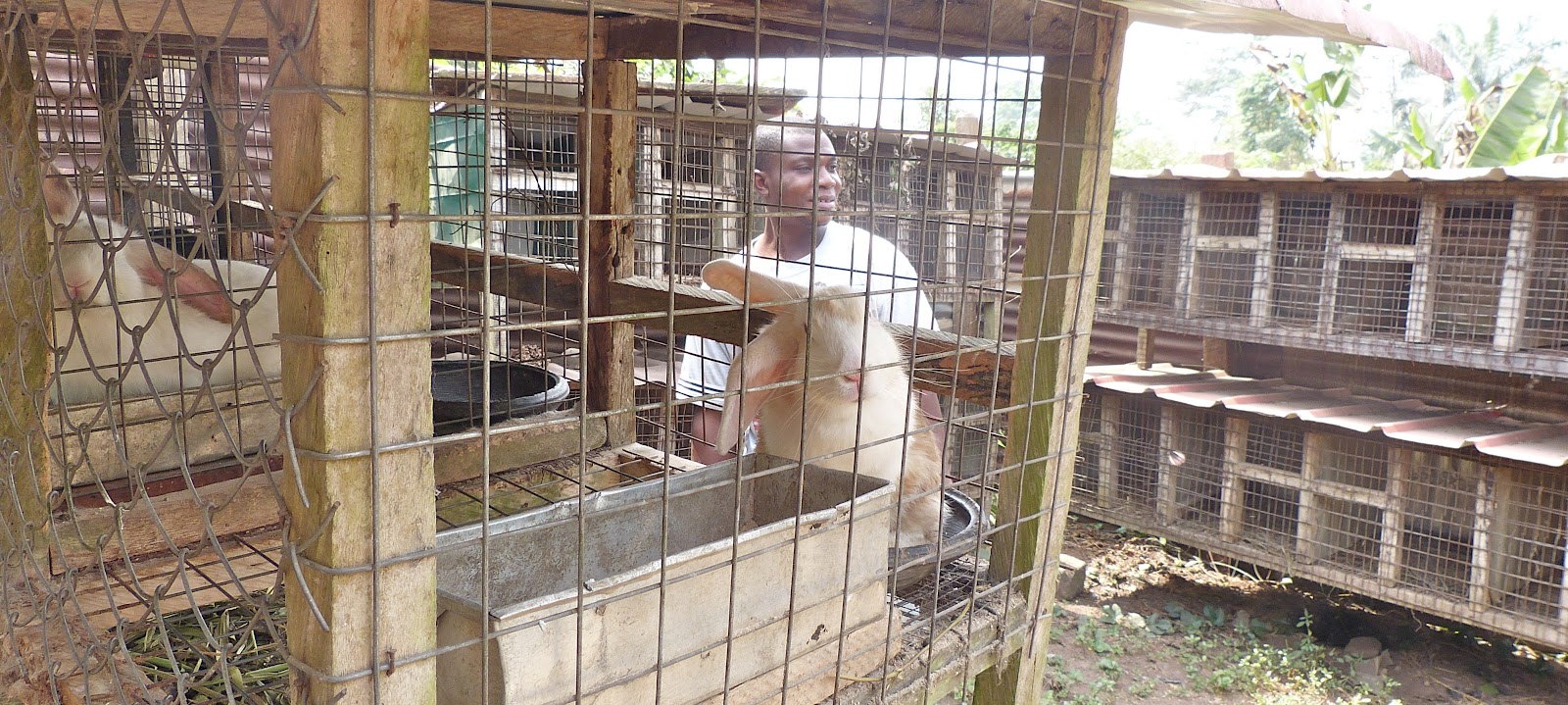 Notes from Ghana The Farmer's Farmer